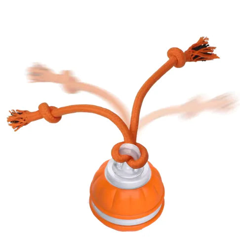Rolling Dog Ball β Smart, Motion-Activated Toy for Endless Fun πΎ