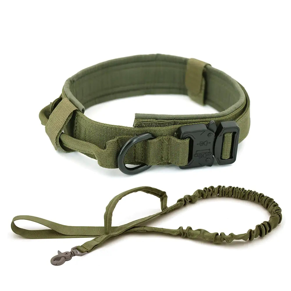 Premium Dog Collar β Durable, Stylish & Comfortable for Everyday Use πΆ