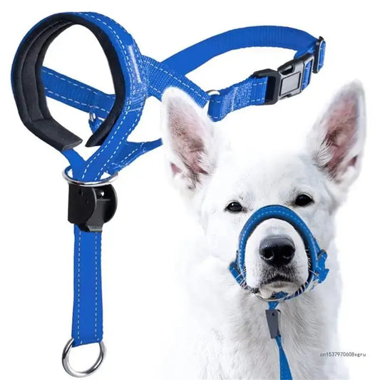 Adjustable Dog Training Collar – Gentle & Safe Control for All Sizes 🐾
