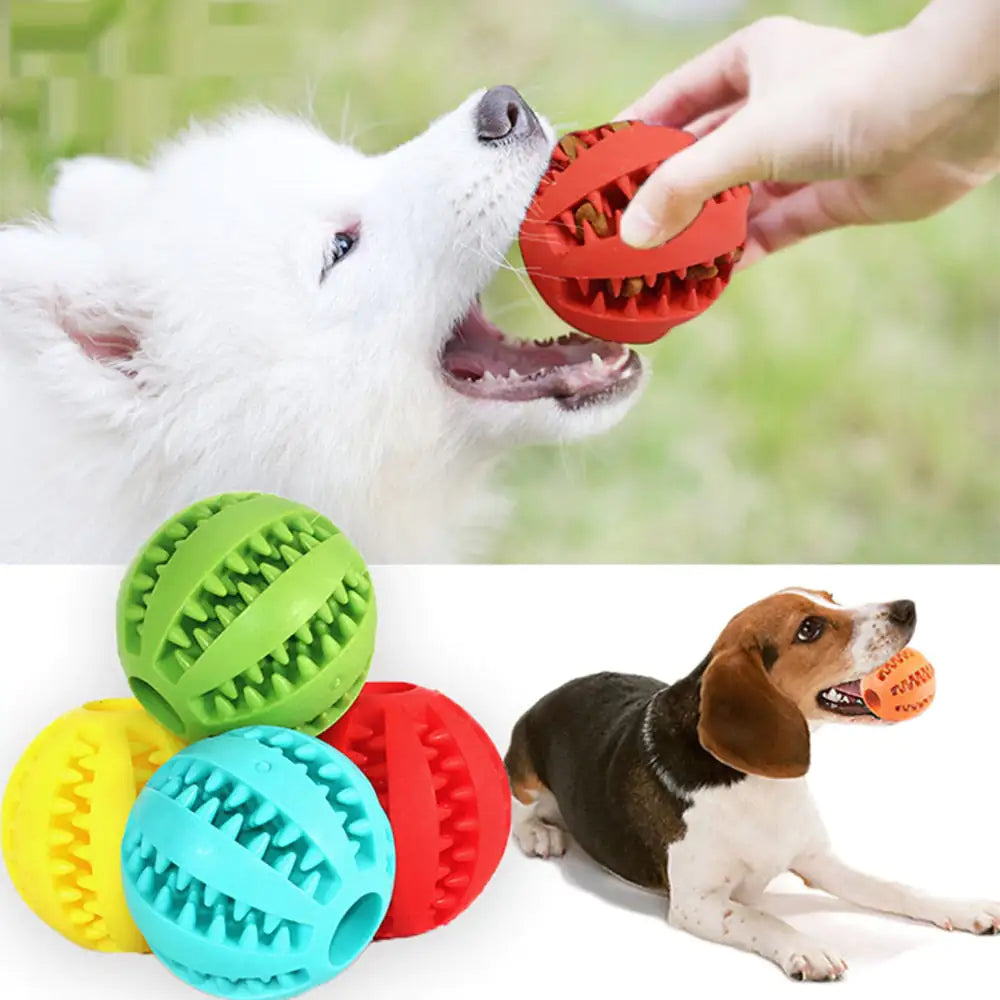 Interactive Pet Toy Balls β Durable, Bouncy & Fun for Dogs & Cats πΆπ±