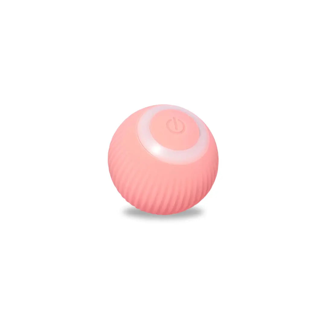 Rolling Pet Ball β Smart, Bouncing Toy for Dogs & Cats πΆπ±