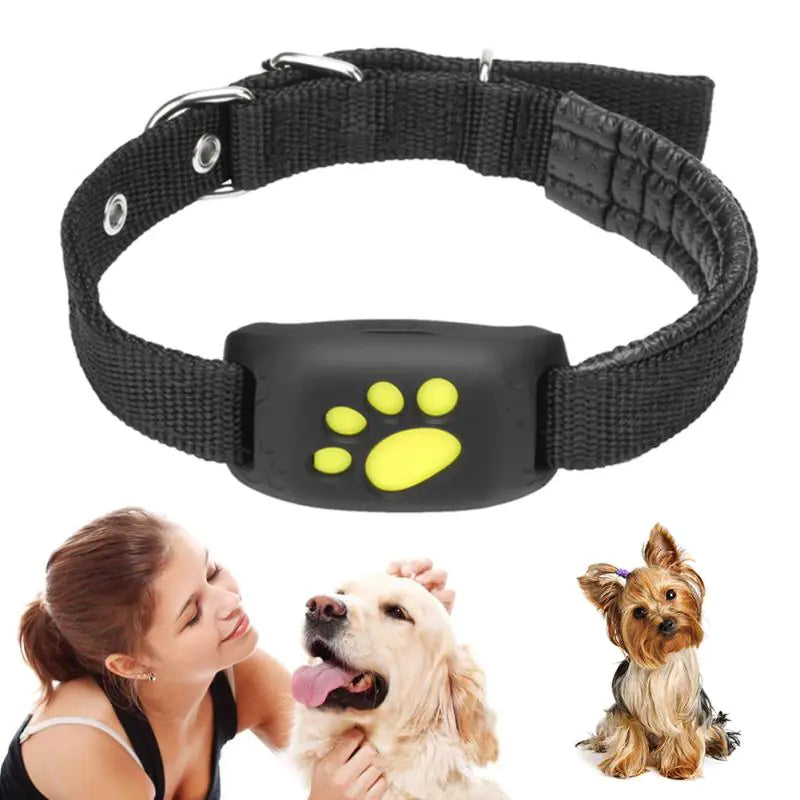 Pet GPS Tracker Collar β Real-Time Location & Safety for Your Pet π°οΈπΎ