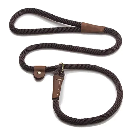 Adjustable Dog Lead Leash – Durable & Comfortable Grip for Daily Walks 🐾