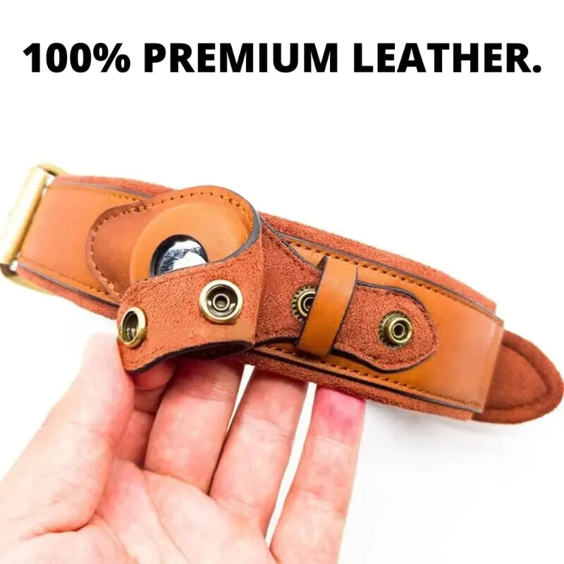 Premium Leather Anti-Lost Dog Collar โ Style, Comfort & Safety Combined ๐โจ
