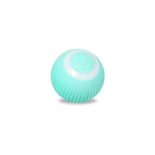 Rolling Pet Ball β Smart, Bouncing Toy for Dogs & Cats πΆπ±