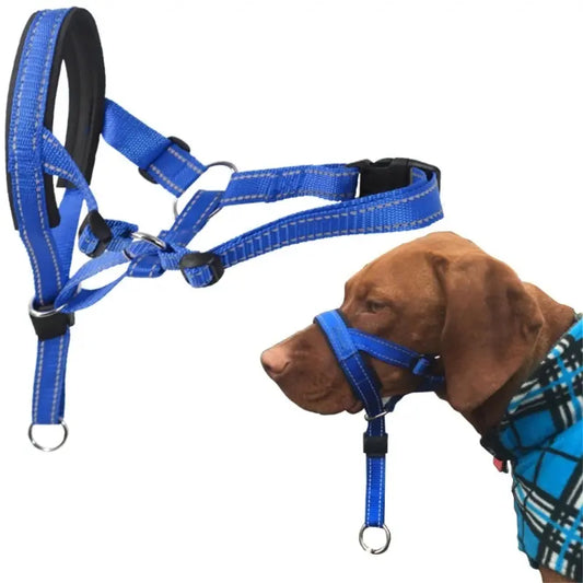 Adjustable Dog Training Collar – Gentle & Safe Control for All Sizes 🐾