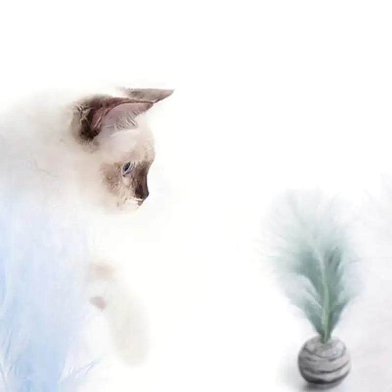 Cat Toy Feather Ball – Fun, Interactive & Irresistible Playtime! 🪶🐾