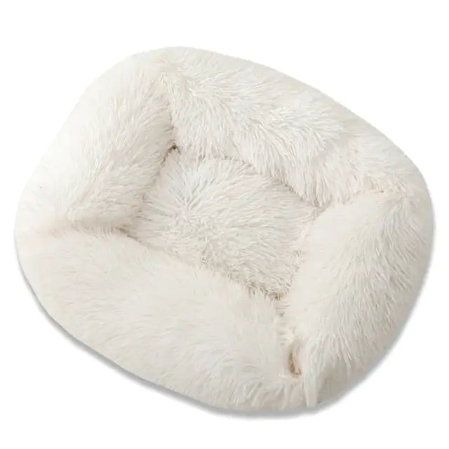 Plush Pet Bed โ Ultra Soft, Non-Slip & Easy to Clean ๐พ
