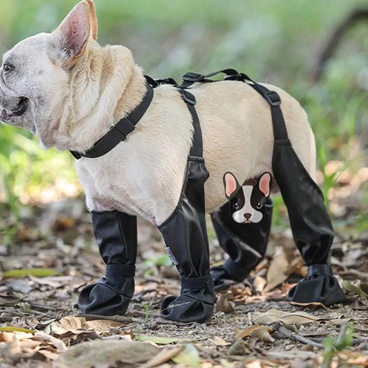 Anti-Slip Dog Shoes – Protect Your Pet’s Paws in Every Season 🐾