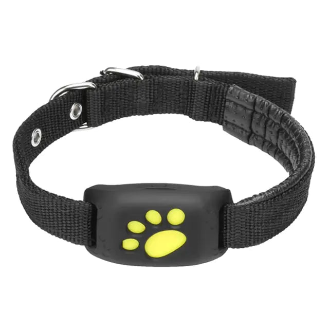 Pet GPS Tracker Collar – Real-Time Location & Safety for Your Pet 🛰️🐾
