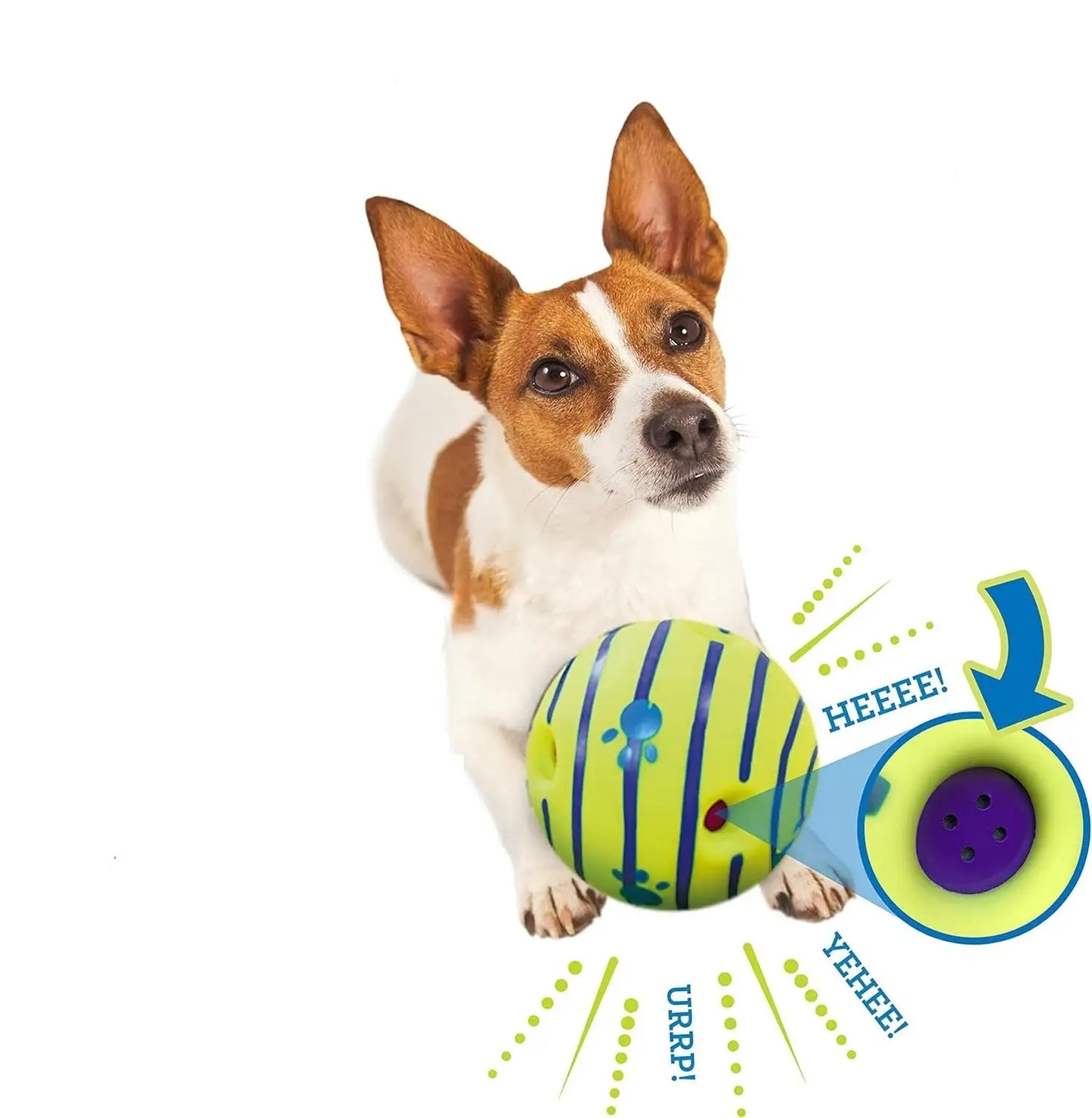 Wobble Wag Giggle Ball – Fun, Glowing & Noisy Toy for Happy Dogs! 🐾