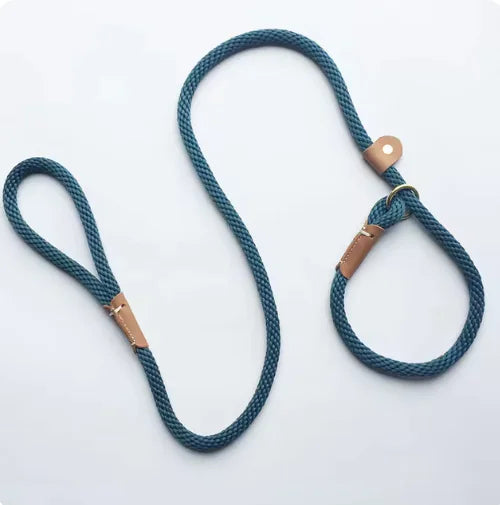 Adjustable Dog Lead Leash – Durable & Comfortable Grip for Daily Walks 🐾