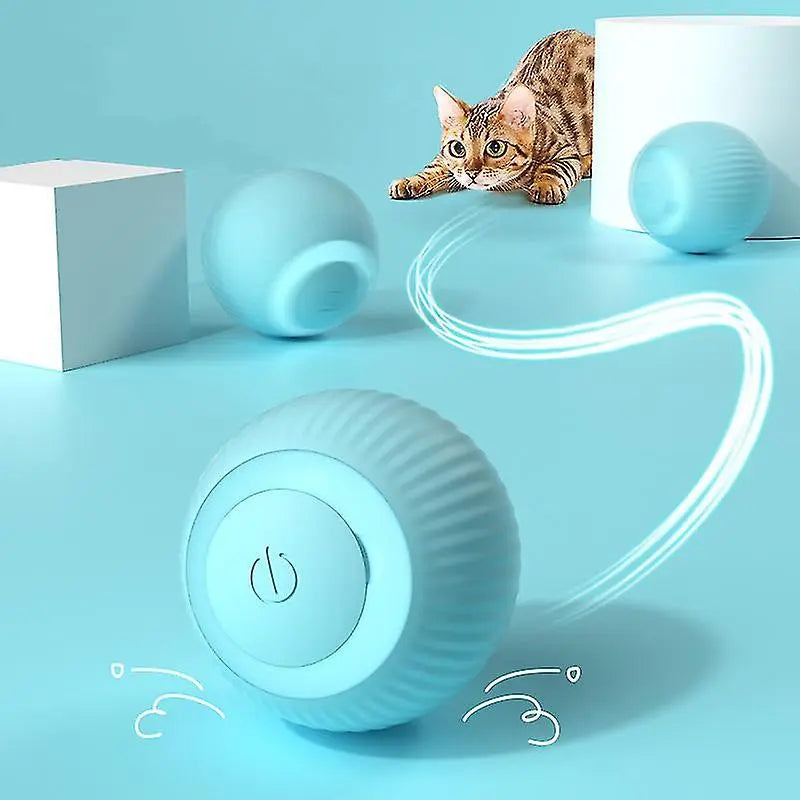 Rolling Pet Ball – Smart, Bouncing Toy for Dogs & Cats 🐶🐱