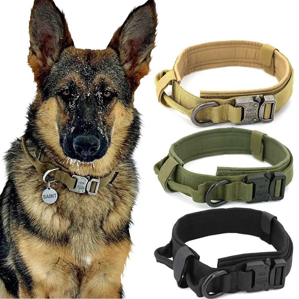 Premium Dog Collar – Durable, Stylish & Comfortable for Everyday Use 🐶