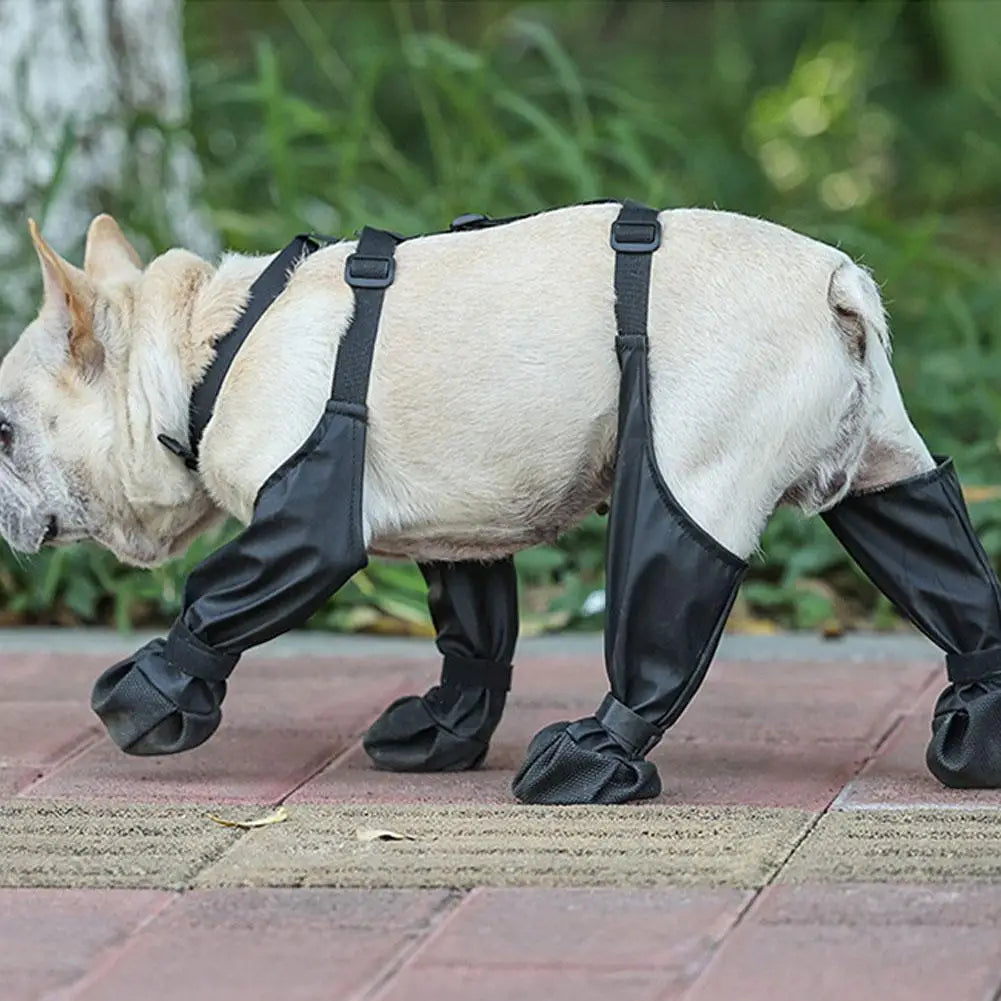 Anti-Slip Dog Shoes – Protect Your Pet’s Paws in Every Season 🐾