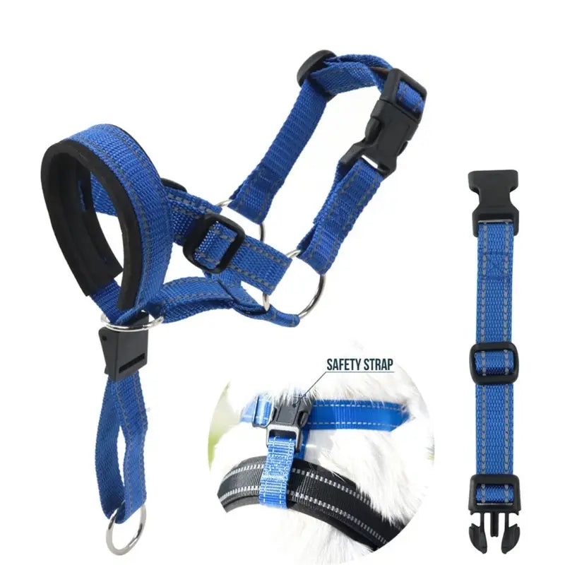 Adjustable Dog Training Collar – Gentle & Safe Control for All Sizes 🐾