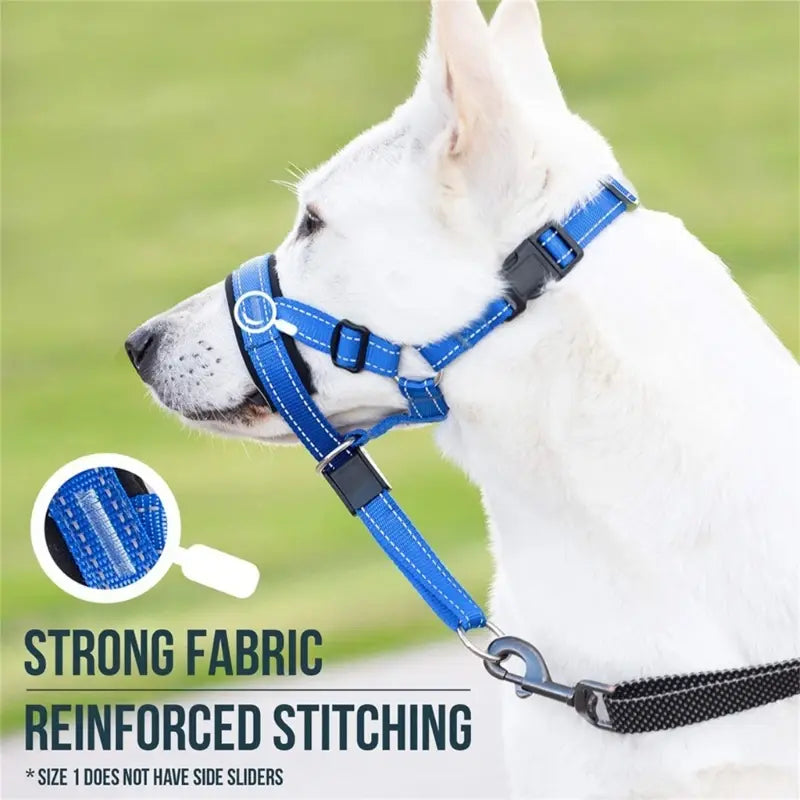 Adjustable Dog Training Collar – Gentle & Safe Control for All Sizes 🐾
