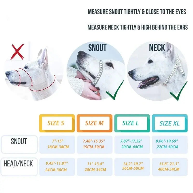 Adjustable Dog Training Collar – Gentle & Safe Control for All Sizes 🐾